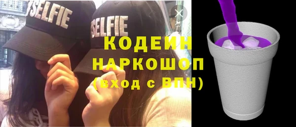 индика Абинск