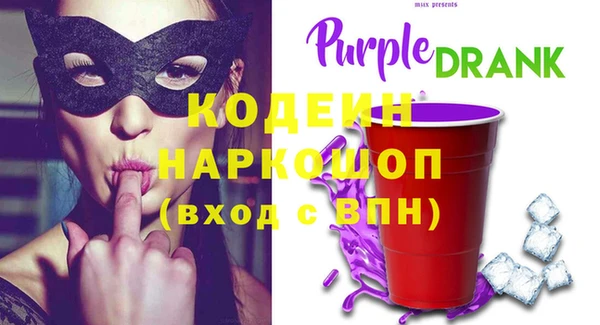 индика Абинск