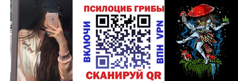 Псилоцибиновые грибы прущие грибы Жердевка